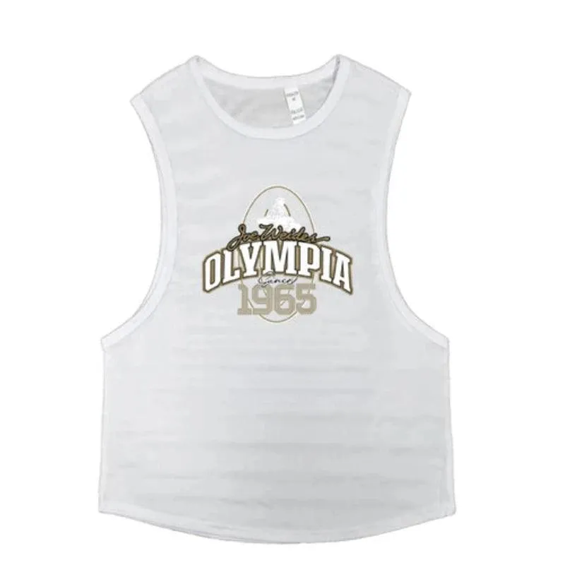 Summer Mesh Gym Tank Top Men Loose Quick Dry Fitness