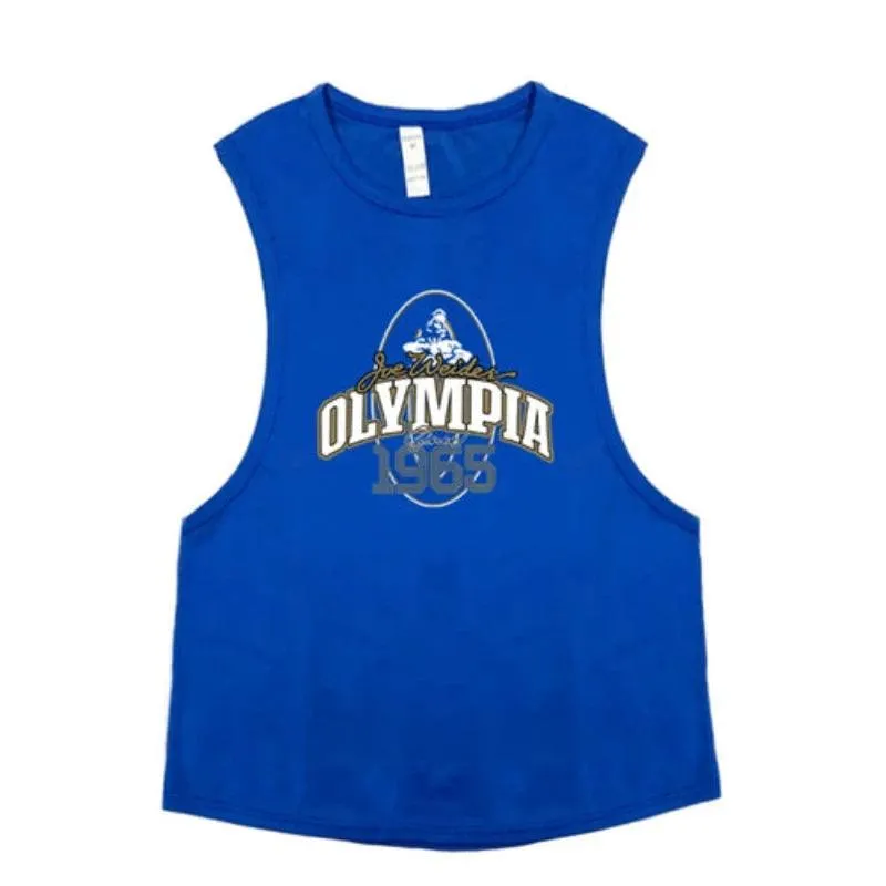 Summer Mesh Gym Tank Top Men Loose Quick Dry Fitness