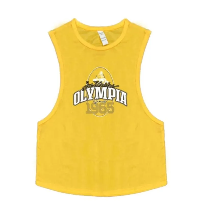 Summer Mesh Gym Tank Top Men Loose Quick Dry Fitness