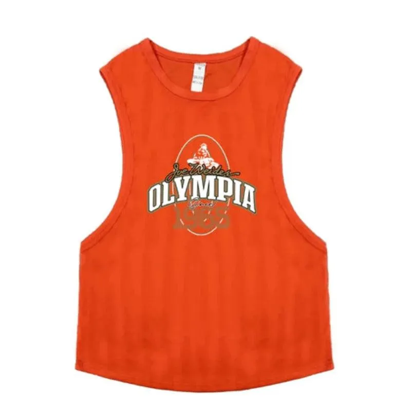 Summer Mesh Gym Tank Top Men Loose Quick Dry Fitness