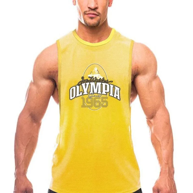 Summer Mesh Gym Tank Top Men Loose Quick Dry Fitness