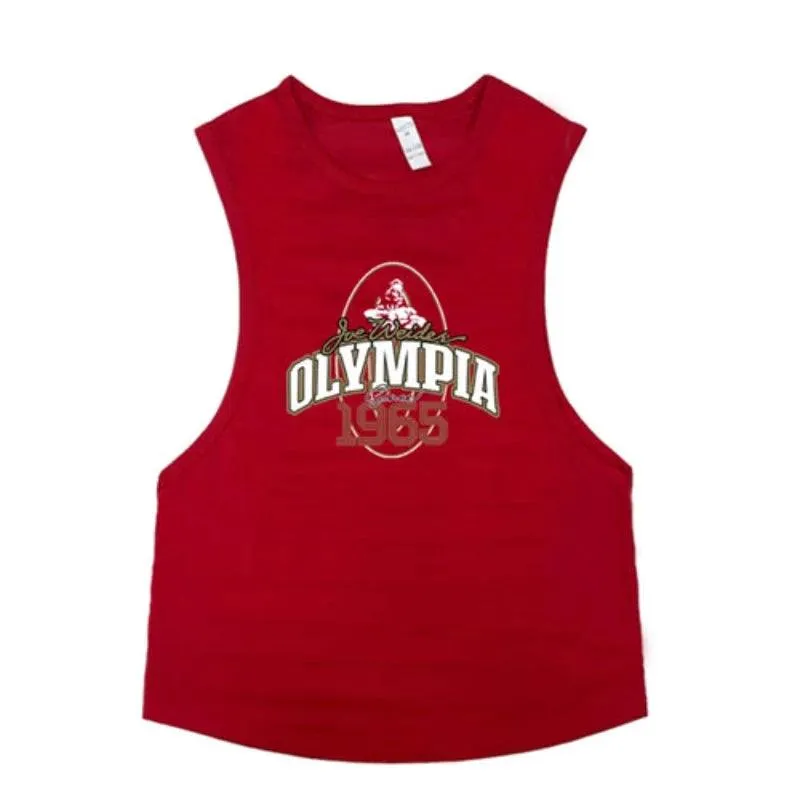 Summer Mesh Gym Tank Top Men Loose Quick Dry Fitness