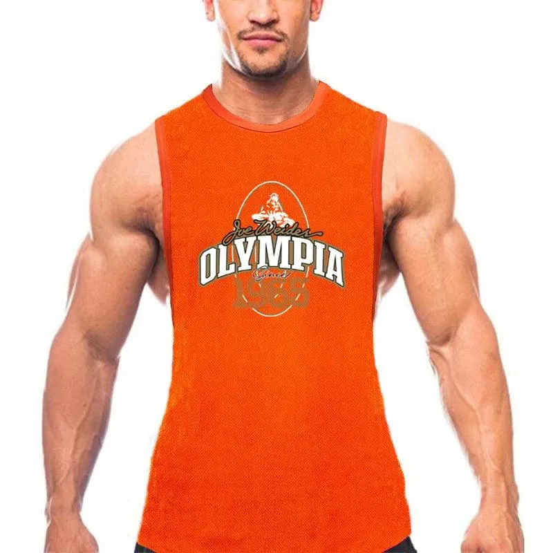 Summer Mesh Gym Tank Top Men Loose Quick Dry Fitness